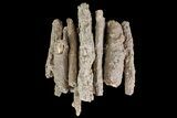 - Fulgurites (Petrified Lightning) Wholesale Lot ~ Pieces #76037-1